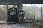 NS  5533 "GP38-2" Pulls a string of empty stack cars into the Inman Yard